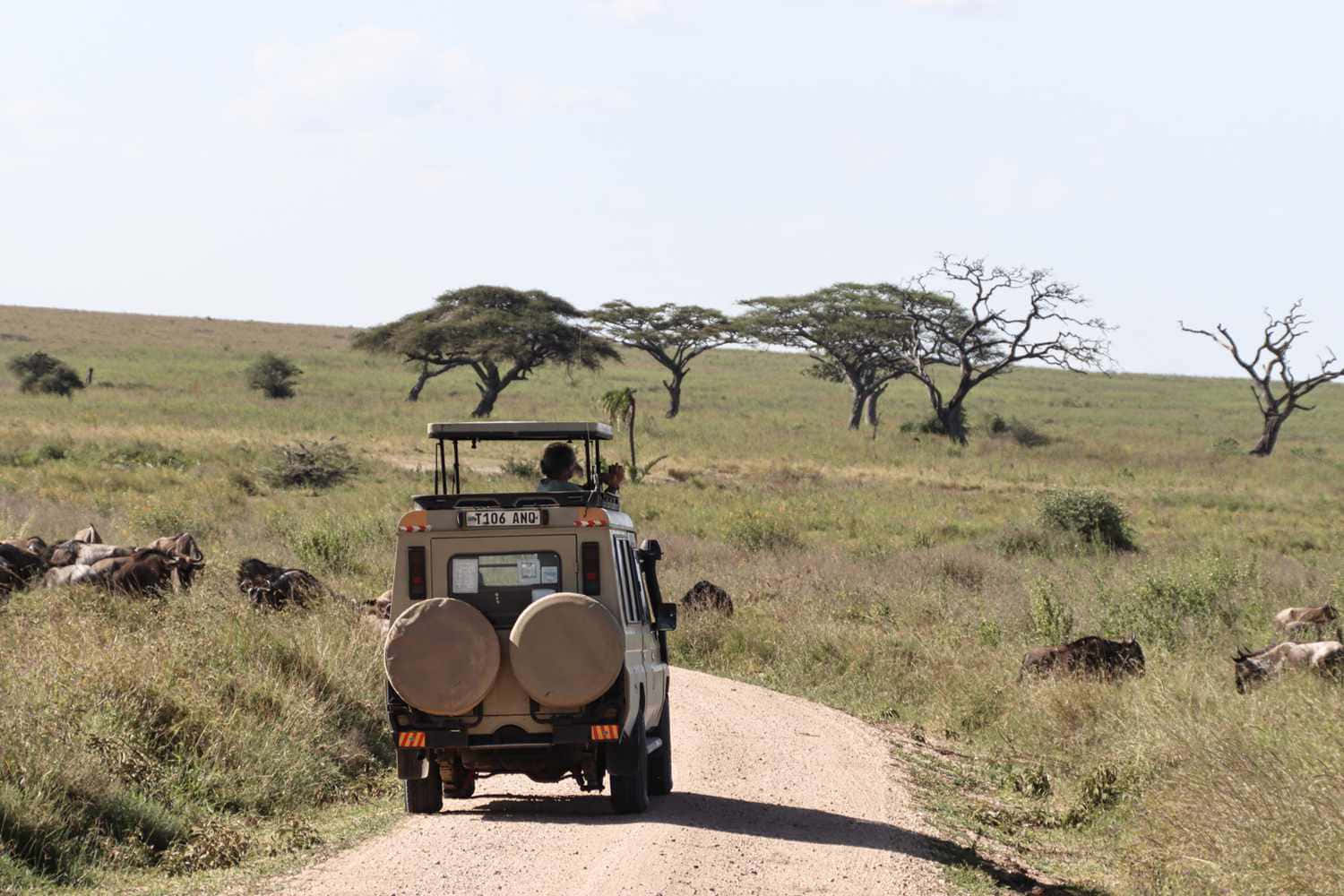 Roads of Adventure Safaris Team